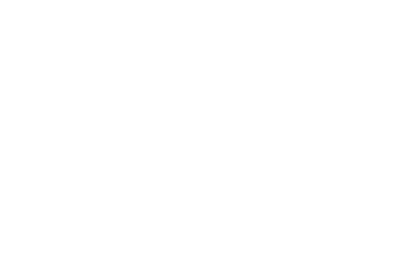 Young Artists Competition